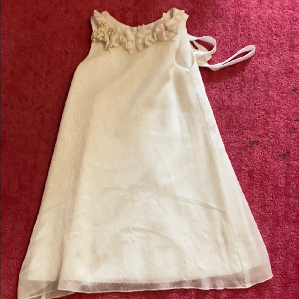 Blush fancy dress